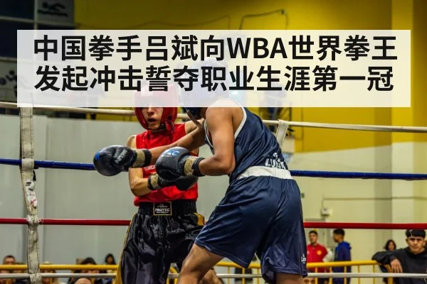 boxing match ring
