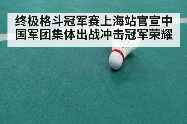 终极格斗冠军赛上海站官宣中国军团集体出战冲击冠军荣耀